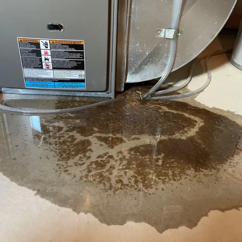 Appliance Leak Cleanup in Crawfordville, GA