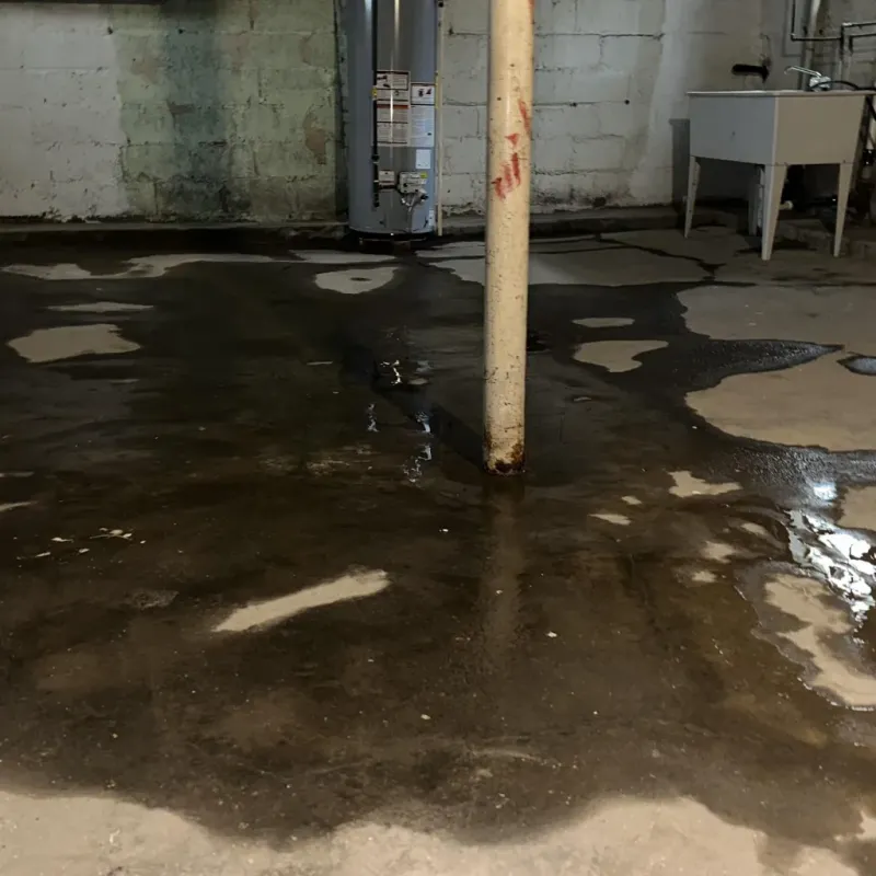 Emergency Water Extraction And Removal in Crawfordville, GA